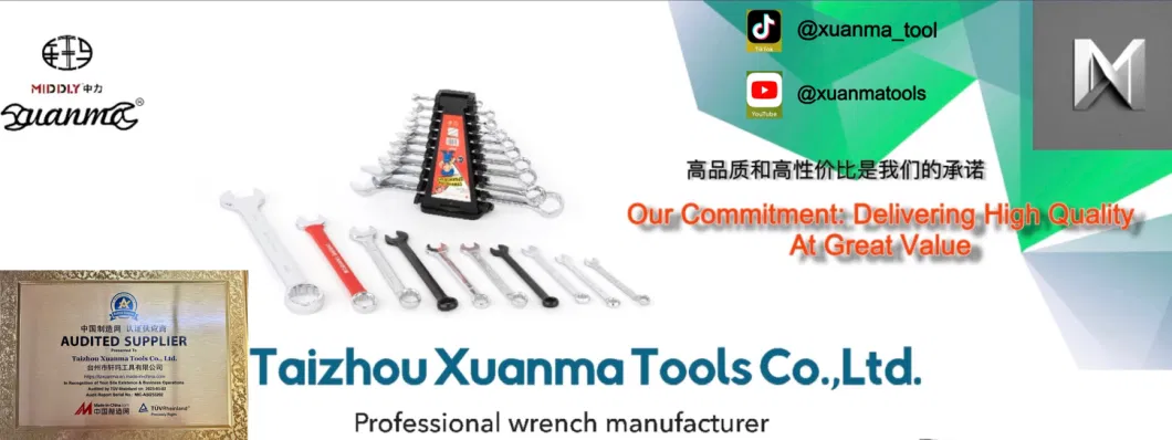 New Combination Wrench, 40-Degree Angled Box-End Combination Spanner